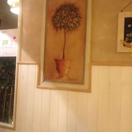 מלון Felix ניס